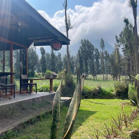 Gangga Guest House Bromo Ngadisari Exterior photo